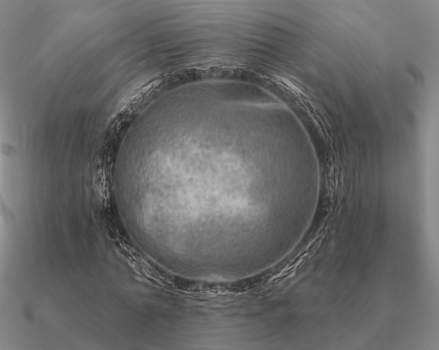 X0000090930774200708061602