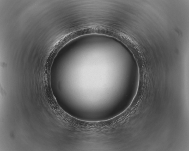 X0000090930776200708061602