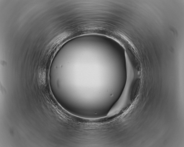 X0000090930777200708061602