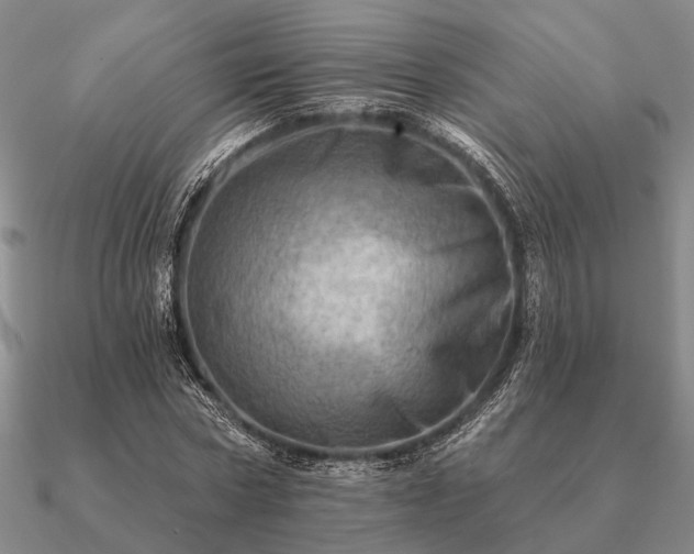 X0000090930778200708061602