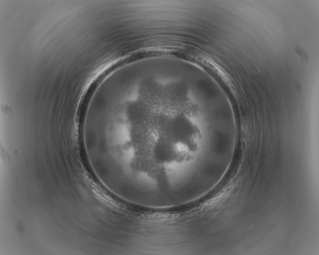 X0000090930779200708061602