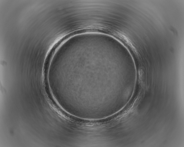 X0000090930780200708061602