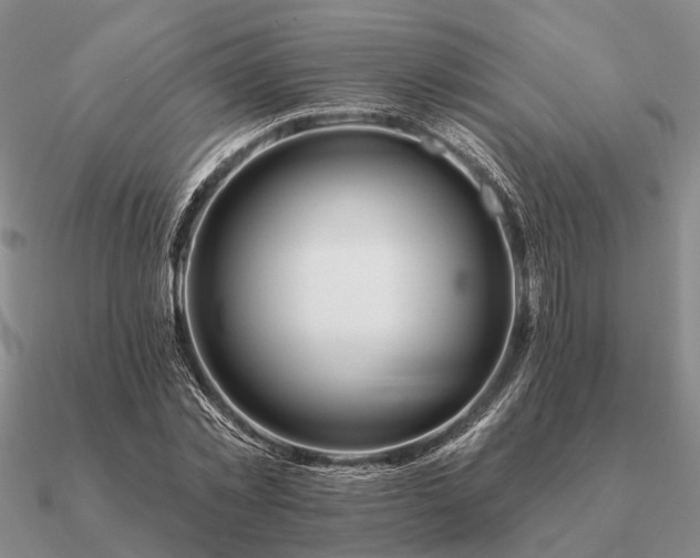 X0000090930781200708061602