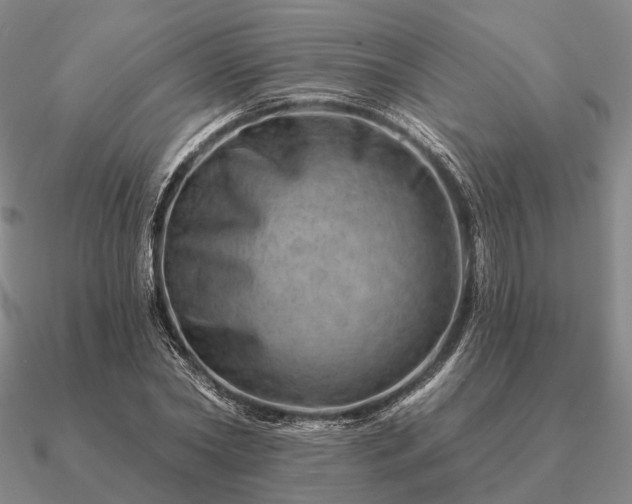 X0000090930782200708061602