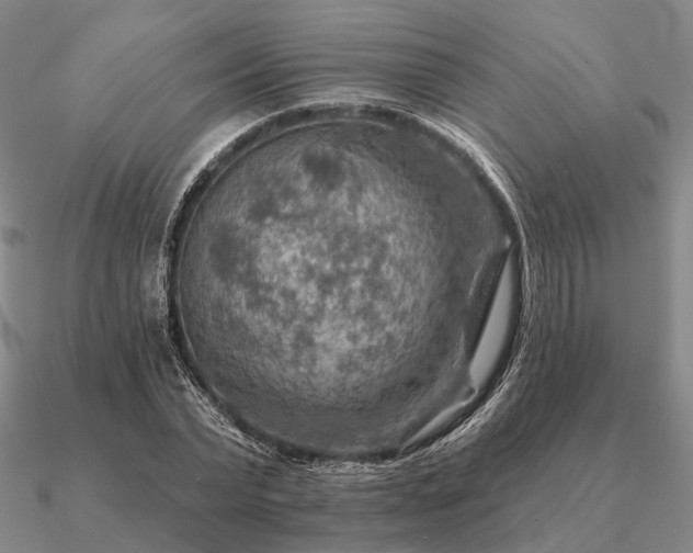 X0000090930783200708061602