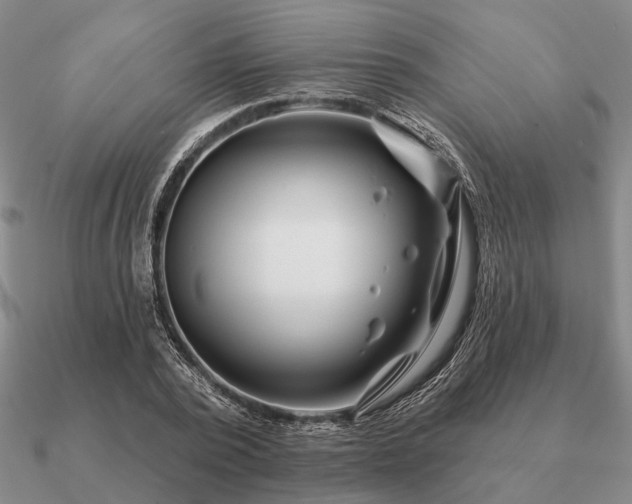 X0000090930784200708061602