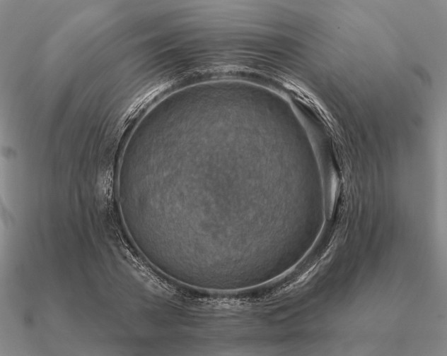 X0000090930785200708061602