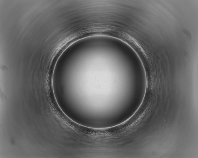 X0000090930786200708061602