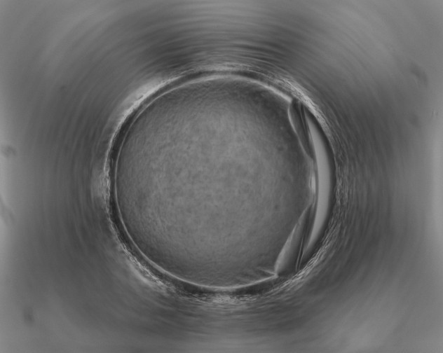 X0000090930787200708061602