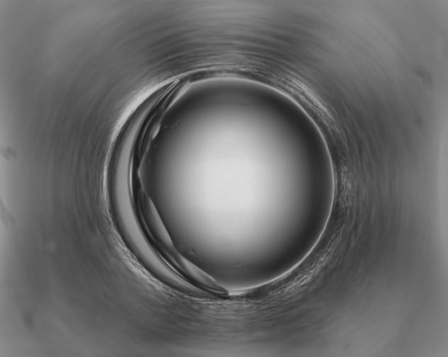 X0000090930788200708061602