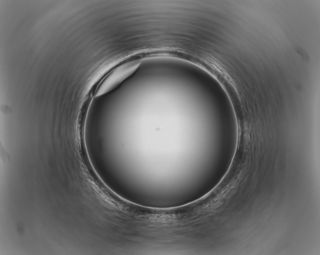 X0000090930789200708061602