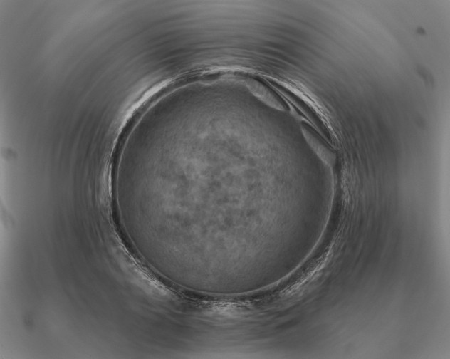 X0000090930790200708061602