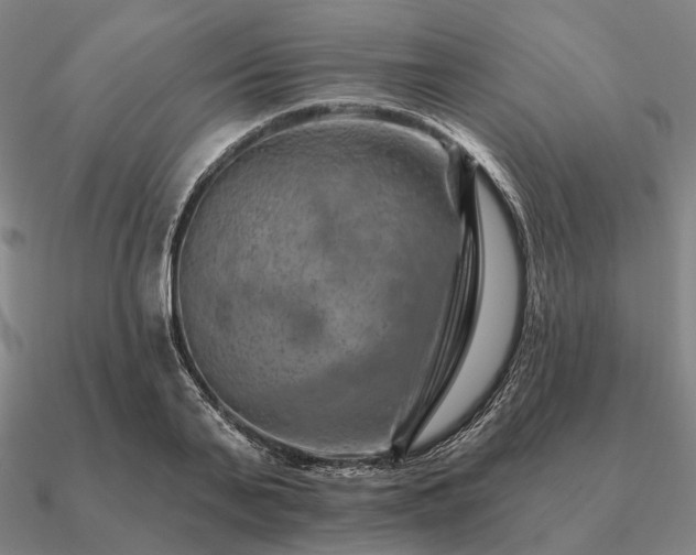 X0000090930791200708061602