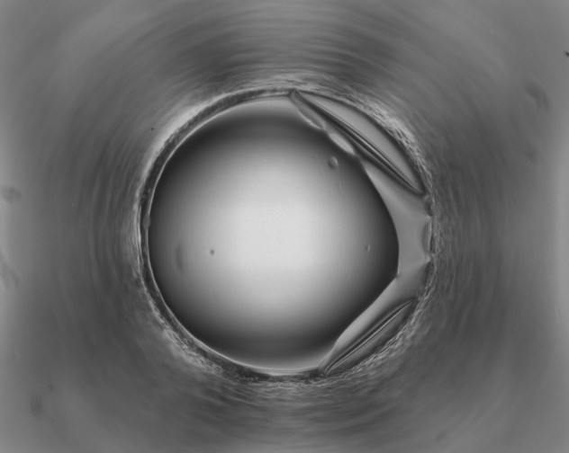 X0000090930792200708061602