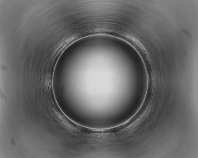 X0000090930793200708061602