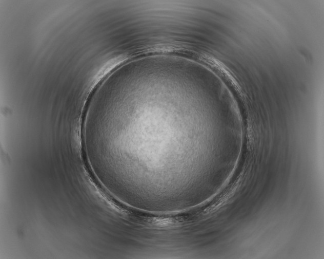 X0000090930794200708061602