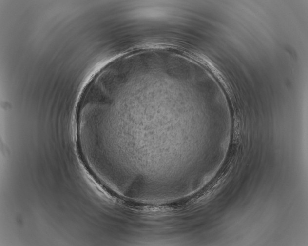 X0000090930795200708061602