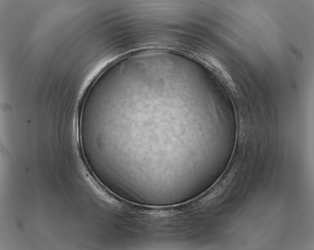 X0000090930796200708061602