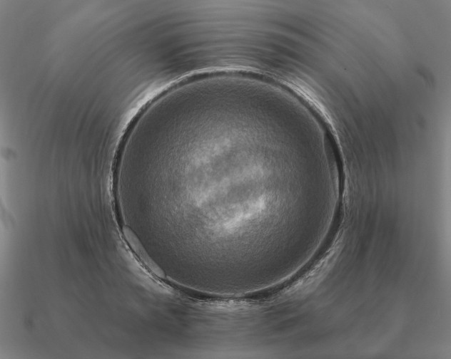 X0000090930797200708061602