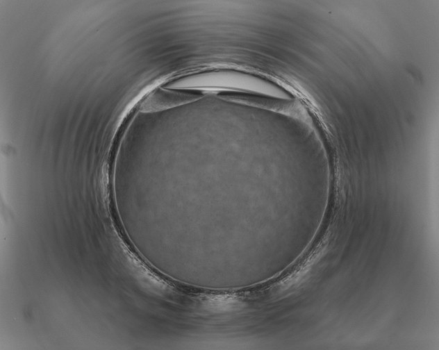 X0000090930798200708061602