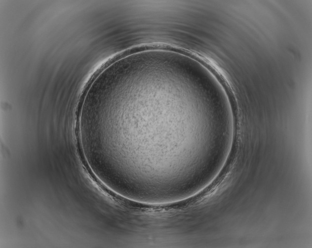 X0000090930799200708061602