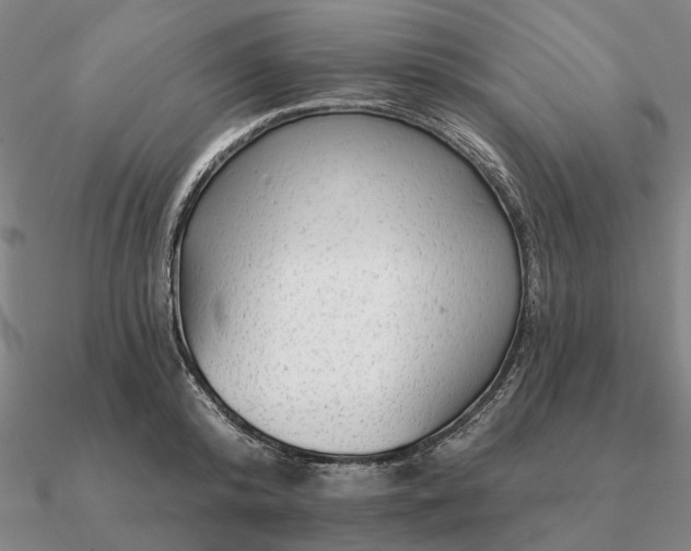 X0000090930800200708061602