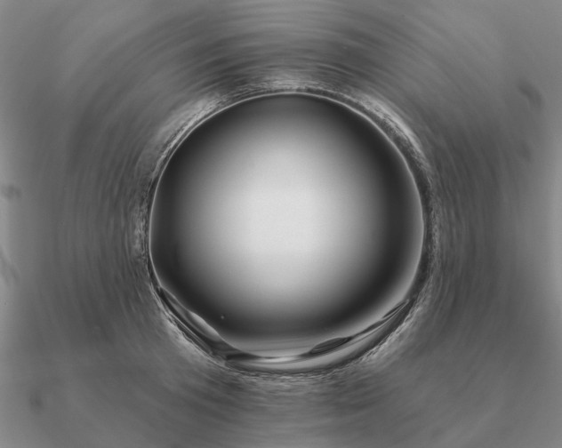 X0000090930801200708061602