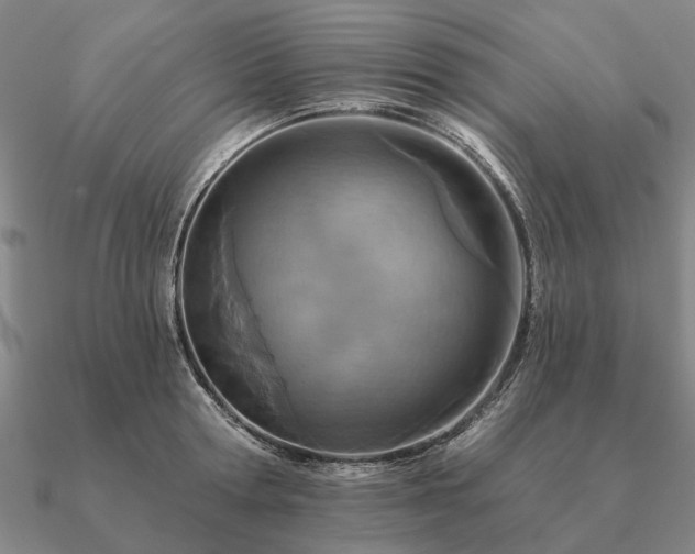 X0000090930802200708061602