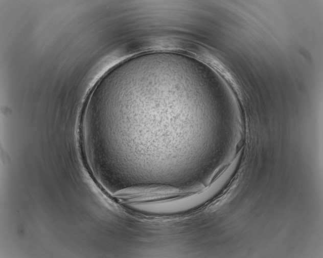 X0000090930803200708061602