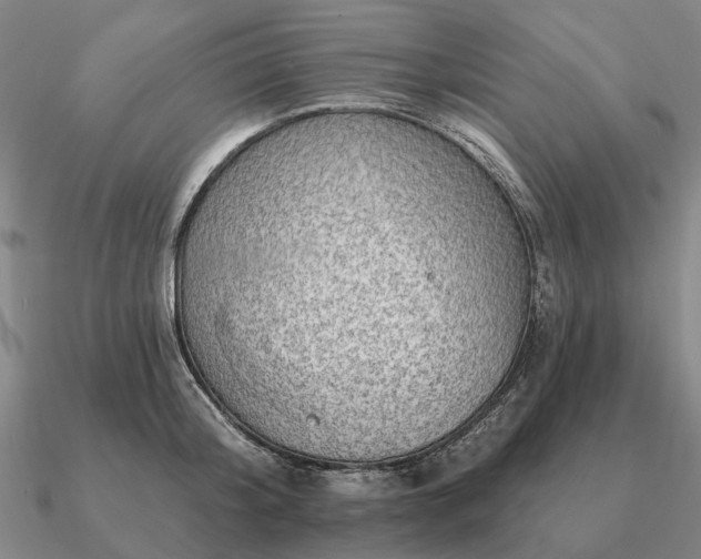 X0000090930804200708061602