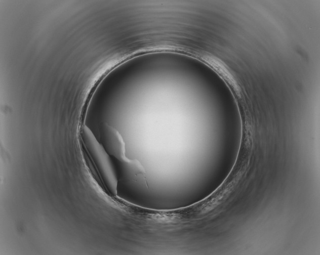 X0000090930805200708061602