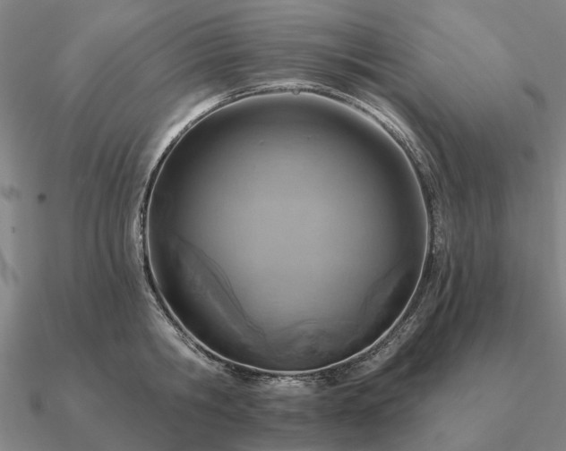 X0000090930806200708061602