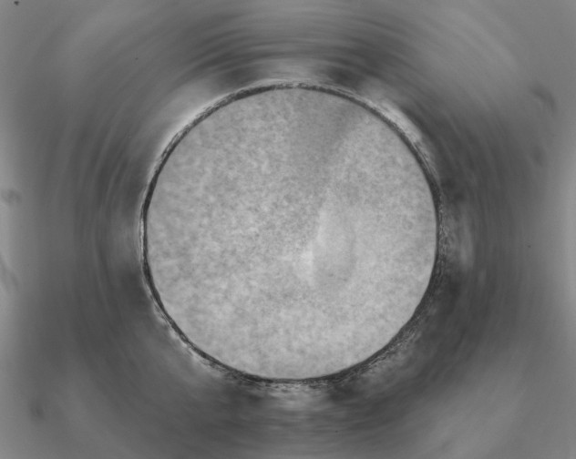 X0000090930807200708061602