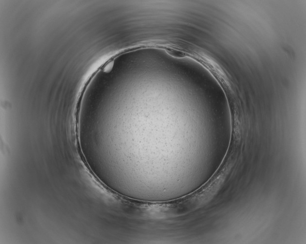 X0000090930808200708061602