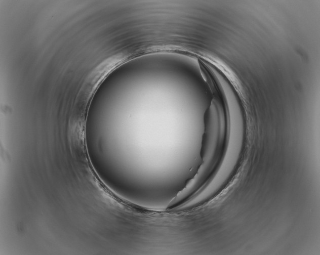 X0000090930809200708061602