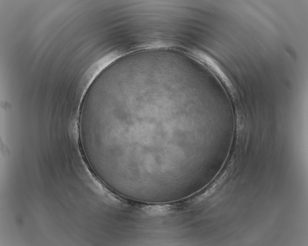 X0000090930810200708061602