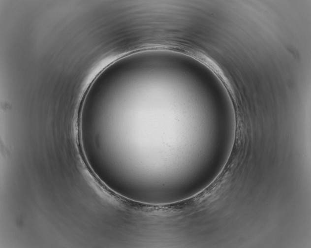 X0000090930811200708061602