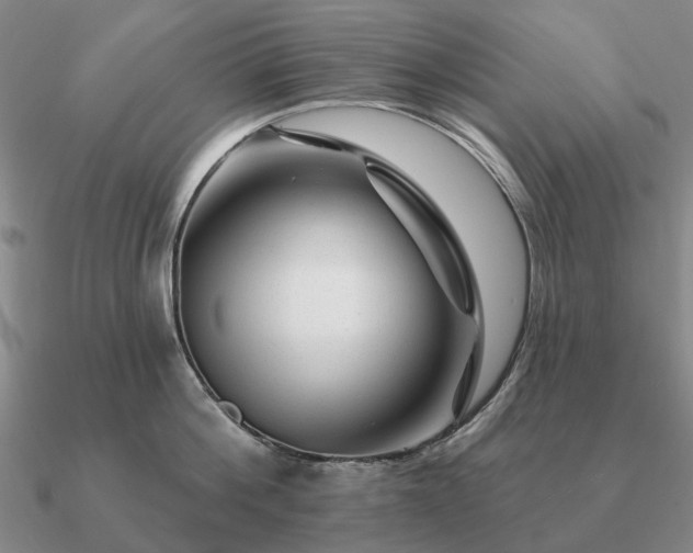 X0000090930812200708061602