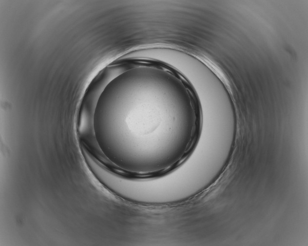 X0000090930813200708061602