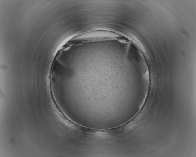 X0000090930814200708061602