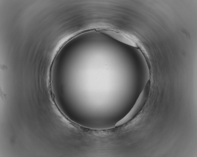 X0000090930815200708061602