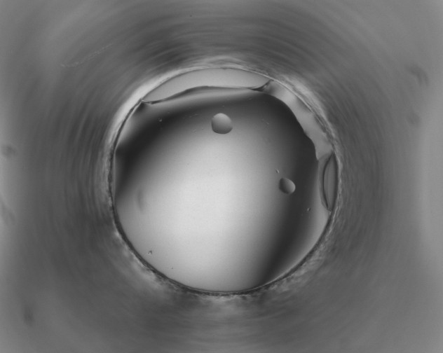 X0000090930816200708061602