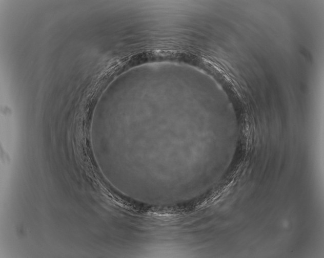 X0000090930817200708061601