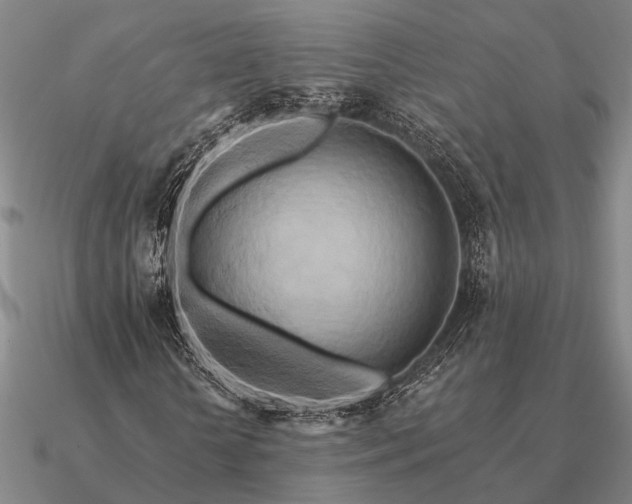 X0000090930818200708061601