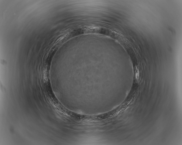 X0000090930819200708061601