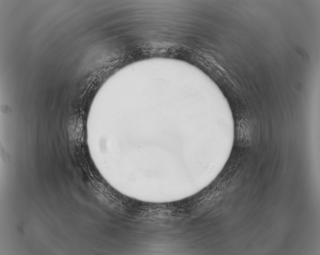 X0000090930820200708061601