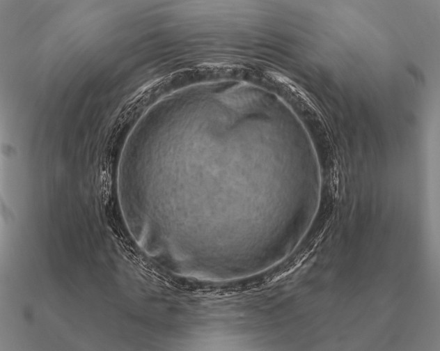 X0000090930821200708061601