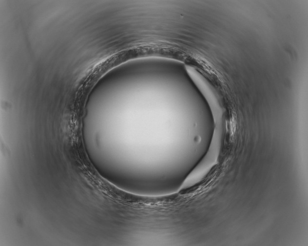 X0000090930822200708061601