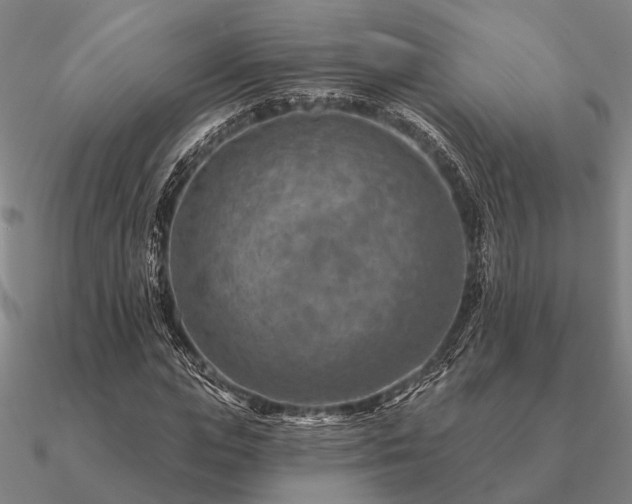 X0000090930823200708061601