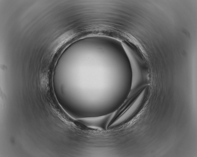 X0000090930826200708061601